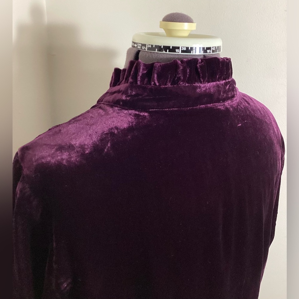 Royalcore Velvet Button Up Top S Whimsigoth Artsy Romantic - Picture 8 of 15
